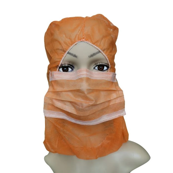 Full Face Mask